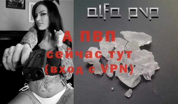 твердый Новодвинск