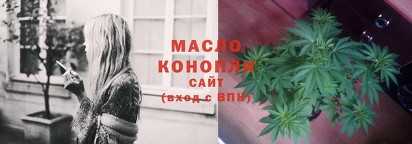 твердый Новодвинск