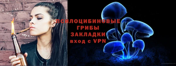 соль ск Новокубанск
