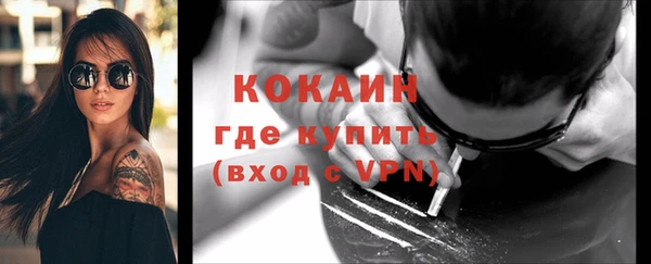 твердый Новодвинск