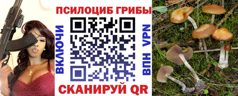 купить   Туринск  Псилоцибиновые грибы мухоморы 